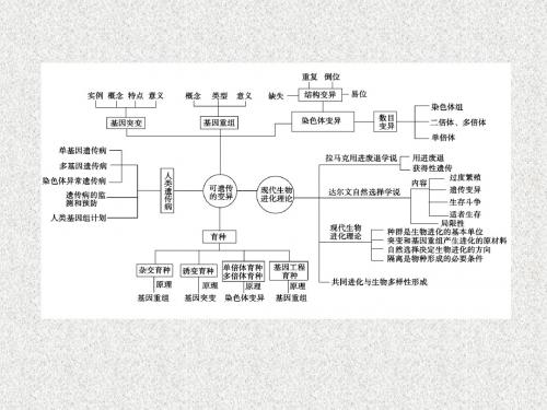 2014届生物一轮总复习课件(人教版)：必修二  单元整合提升4