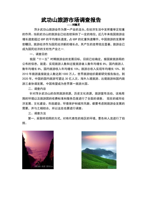 武功山旅游市场调查报告