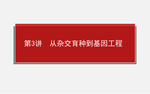 高考生物 一轮复习 2.4.3从杂交育种到基因工程 新人教版必修2