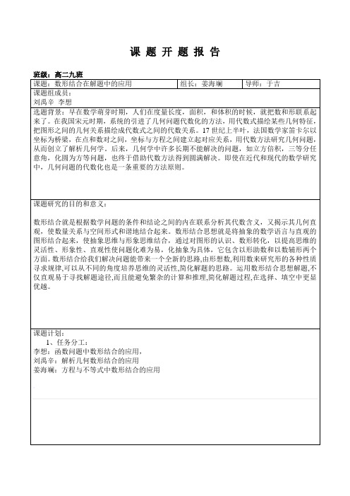 数形结合研究性课题开题报告