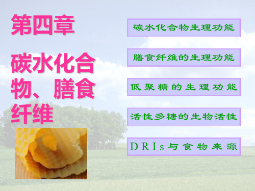 碳水化合物及能量