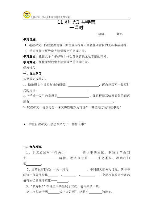 11.灯光导学案doc