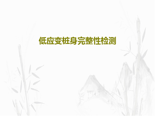 低应变桩身完整性检测PPT72页