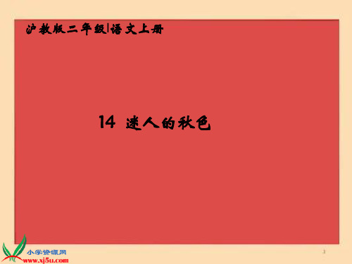 (沪教版)二年级语文上册省优获奖课件 迷人的秋色 1