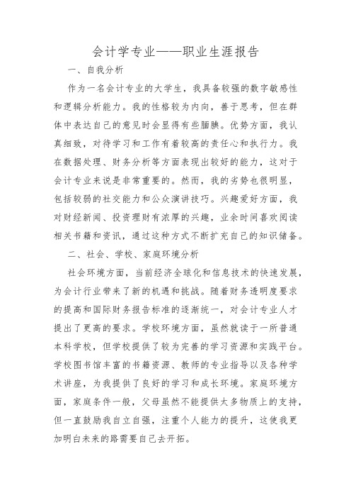 会计学专业——职业生涯报告