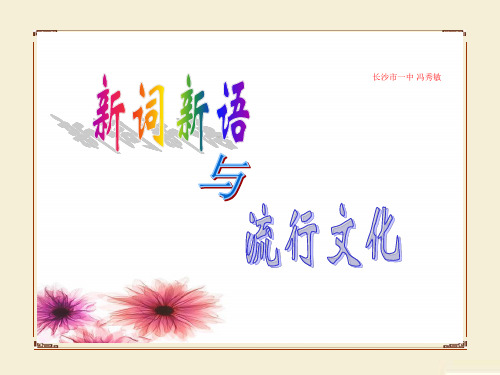 高中语文必修一《梳理探究新词新语与流行文化》(公开课)