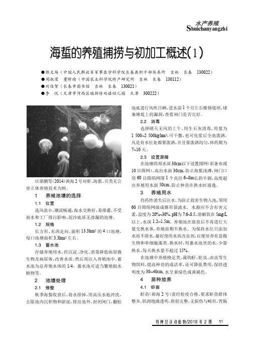 海蜇的养殖捕捞与初加工概述(1)