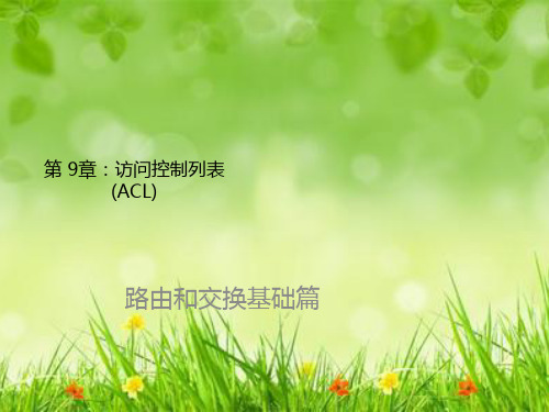 课件：chp09ACL