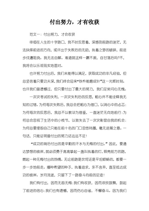 付出努力,才有收获
