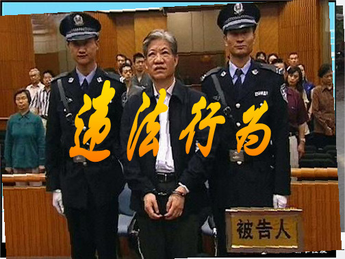 七年级政治下册 第五单元第三节《做守法护法的好公民》课件 湘师版