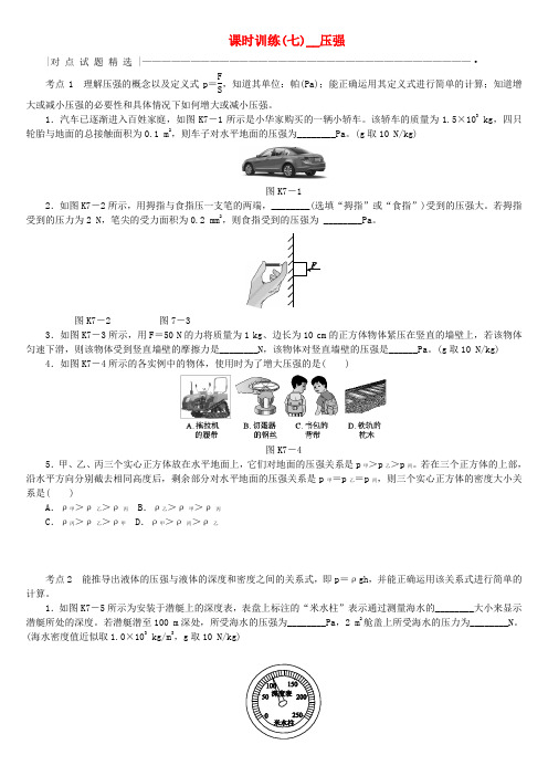 中考物理教材复习第7讲压强课时训练