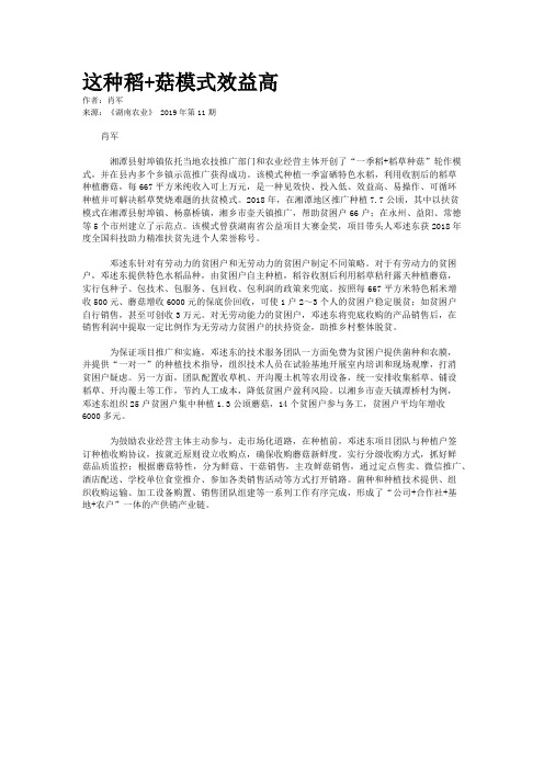 这种稻+菇模式效益高