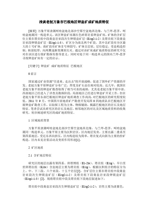 浅谈老挝万象市巴根地区钾盐矿成矿地质特征