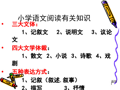 小学语文阅读(课堂PPT)