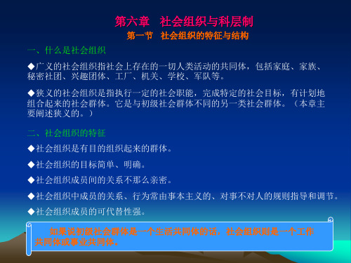 第六章社会组织与科层制