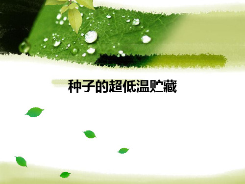 种子超低温贮藏