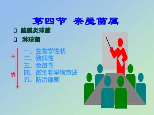微生物奈瑟菌属