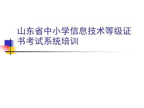 山东省中小学信息技术等级考试培训