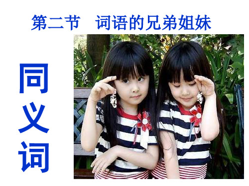 《词语的兄弟姐妹同义词》