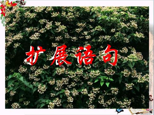 高考复习扩展语句 PPT精品课件116