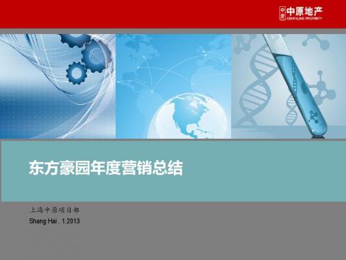 中原_2013年上海东方豪园精装电梯别墅区项目营销总结_45p