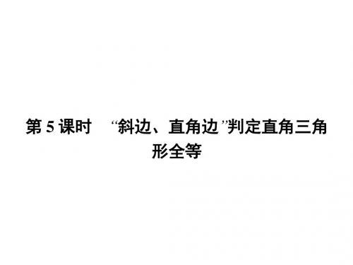 【14.2 “斜边、直角边”判定直角三角形全等(5)