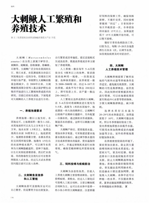 大刺鳅人工繁殖和养殖技术