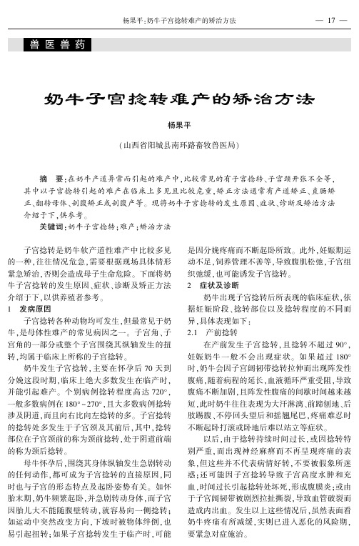 奶牛子宫捻转难产的矫治方法
