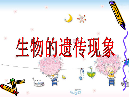 六年级下册科学课件生物的遗传现象 苏教版 (共19页)PPT