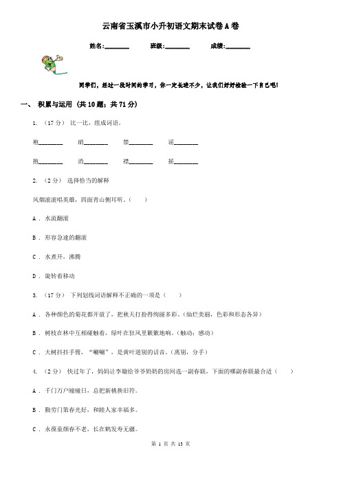 云南省玉溪市小升初语文期末试卷A卷