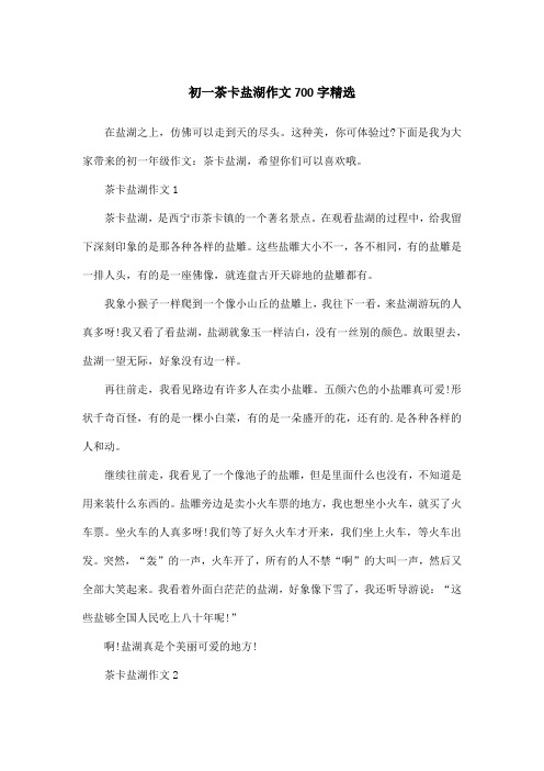 初一茶卡盐湖作文700字精选