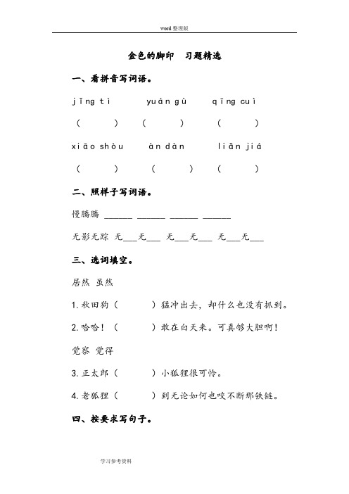 金色的脚印  习题精选