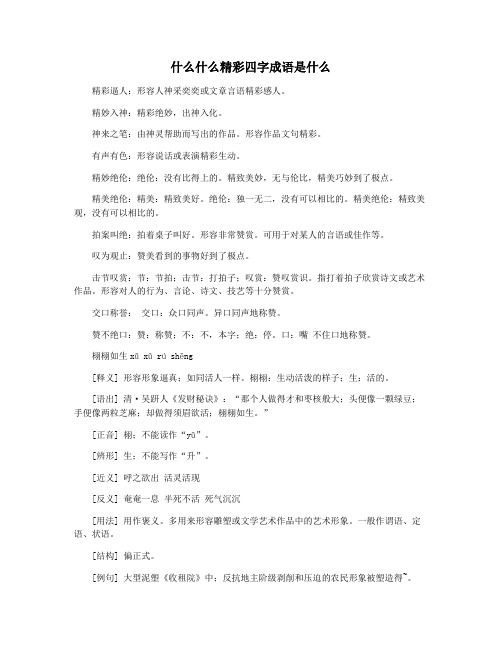 什么什么精彩四字成语是什么
