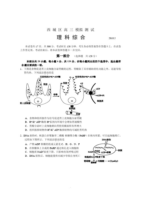 北京市西城区2018届高三5月模拟测试(二模)理综生物试题+Word版含答案