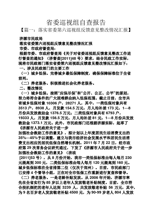 工作报告之省委巡视组自查报告