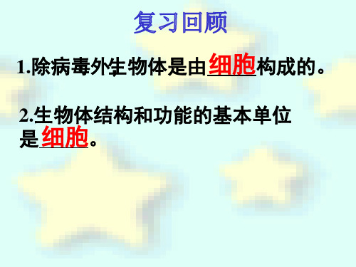 苏教版生物七年级上册4.1单细胞生物