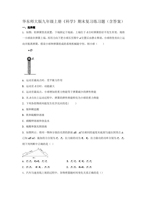 华东师大版九年级上册《科学》期末复习练习题(含答案)