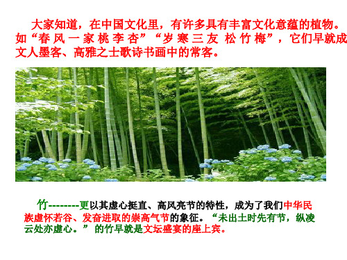 文与可画筼筜谷偃竹记实用版课件