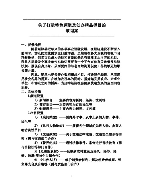 关于打造特色频道及精品栏目的策划方案