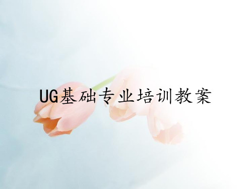 UG基础专业培训教案