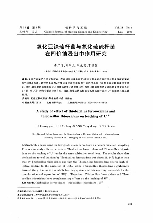 氧化亚铁硫杆菌与氧化硫硫杆菌在四价铀浸出中作用研究
