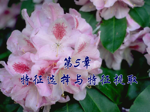 4-模式识别原理-第5章--特征选择与提取PPT课件