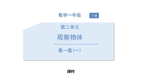 北师大版一年级下册数学《看一看》观察物体教学说课复习课件