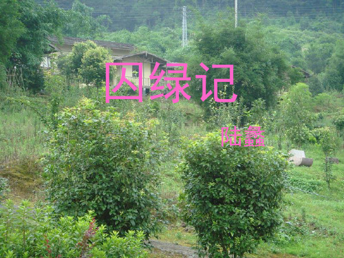高中语文同步课件：1.3《囚绿记》43张(人教新课标必修2)