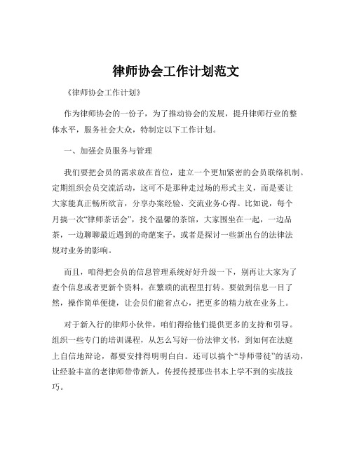 律师协会工作计划范文