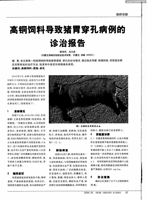 高铜饲料导致猪胃穿孔病例的诊治报告