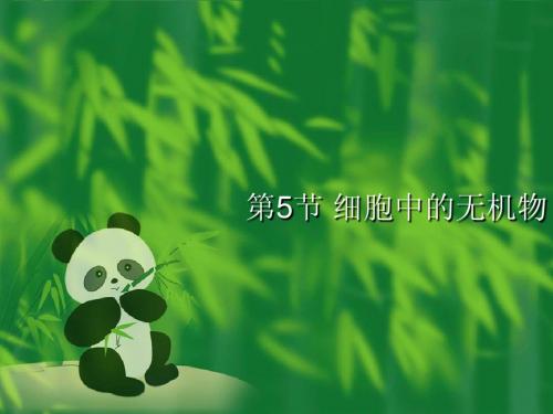 2[1].5 《细胞中的无机物》 课件7 (人教版必修1)