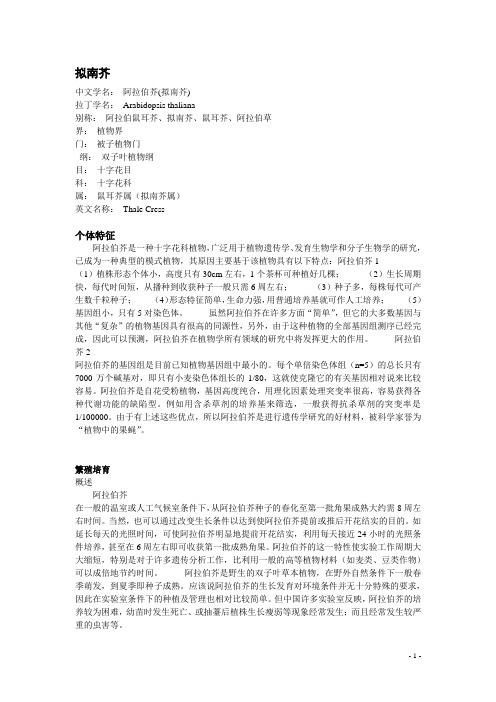 拟南芥 茉莉酸甲酯