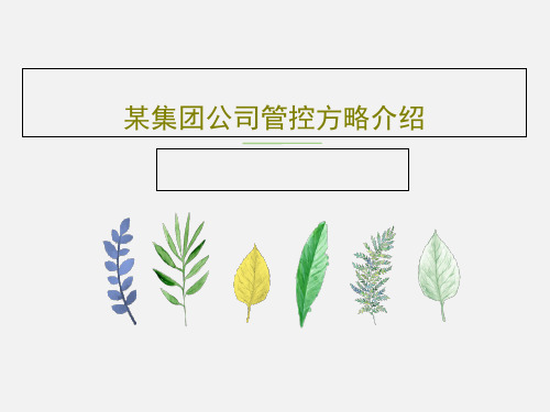 某集团公司管控方略介绍44页PPT