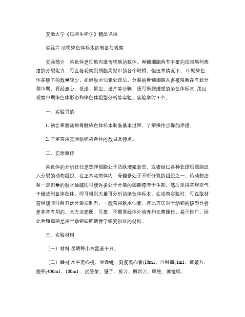 实验六动物染色体标本的制备与观察.